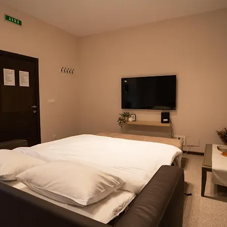 Family & Friends Apt, Skadarlija 公寓 贝尔格莱德