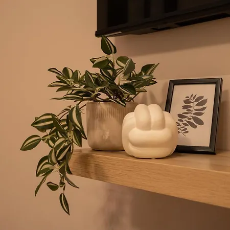 Family & Friends Apt, Skadarlija *